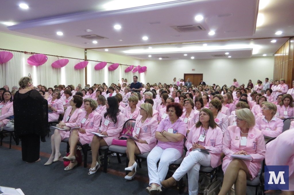 Voluntárias da Rede Feminina de Combate ao Câncer participam de Encontro Estadual