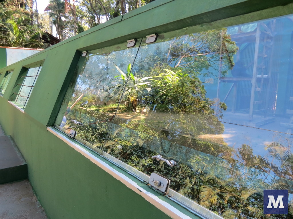 Visitantes não respeitam regras no Zoobotânico