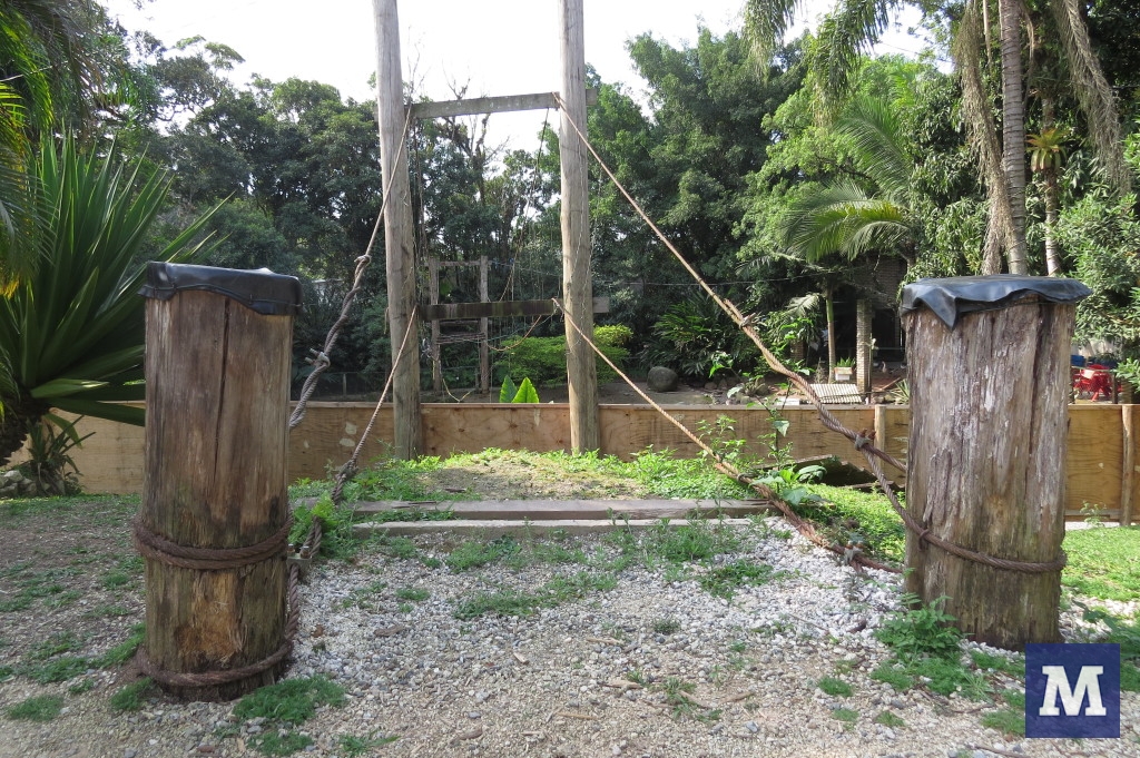 Criança é eletrocutada no Parque da Caixa D’água