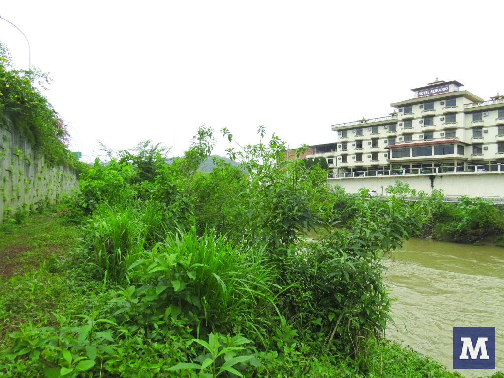 Especialistas questionam pedido de corte de árvores das marges do rio Itajaí-Mirim