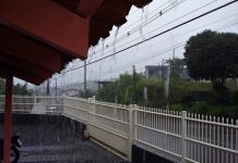 Veja quanto choveu no Vale do Itajaí Mirim nesta terça-feira