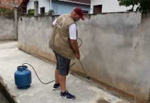 Animais domésticos soltos provocaram infestação de carrapatos no bairro Limeira