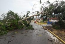 São João Batista é a 20ª cidade de Santa Catarina com maior incidência de raios