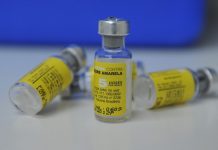 Evento contará com vacinação contra febre amarela neste sábado, em São João Batista