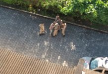 Polícia faz cerco na região do Belchior e do Morro do Baú atrás de assaltantes