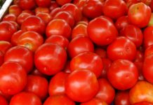 Preço da cesta básica de Brusque sobe em fevereiro