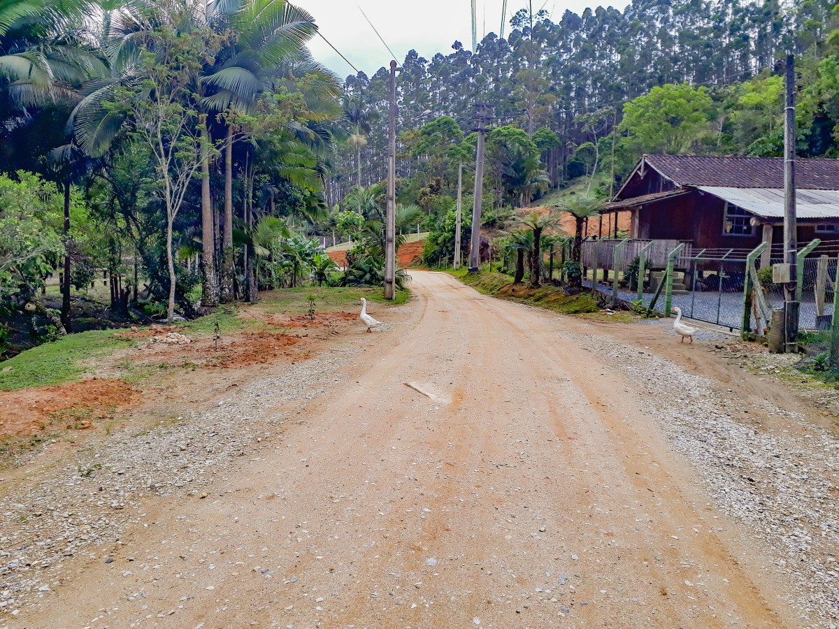 Imagem de Brusque, localidade de Taquaruçu