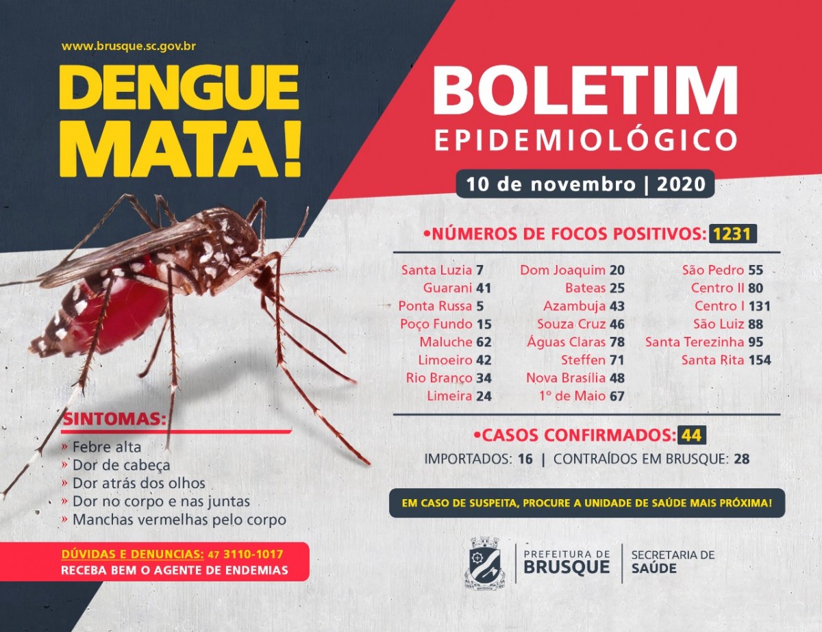 boletim dengue 1