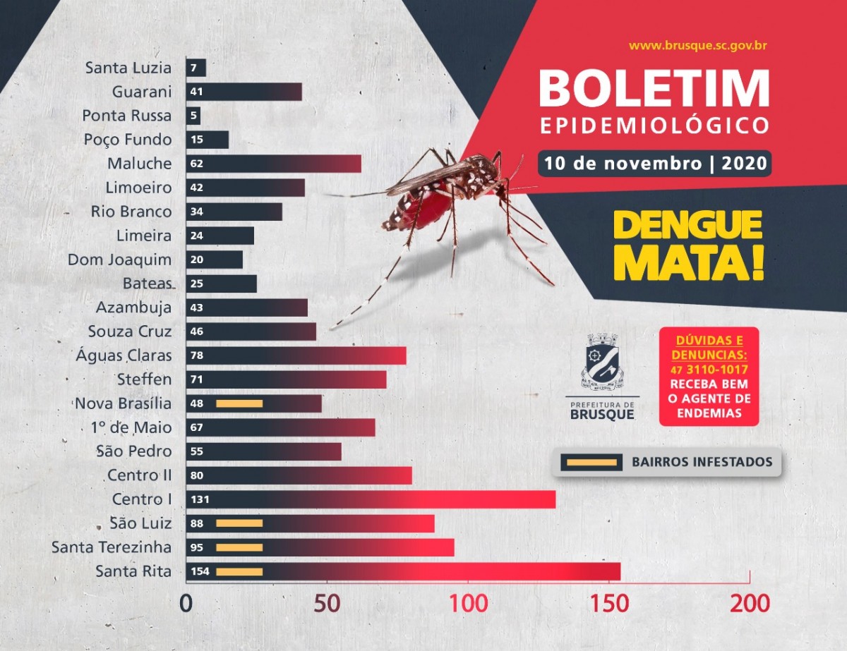 boletim dengue 2