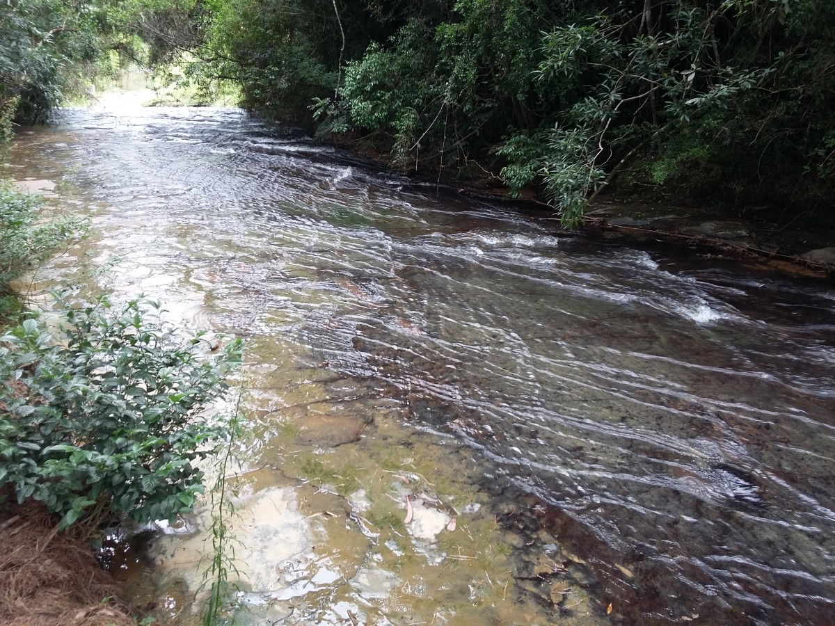 vidal ramos rio Itajaí-Mirim