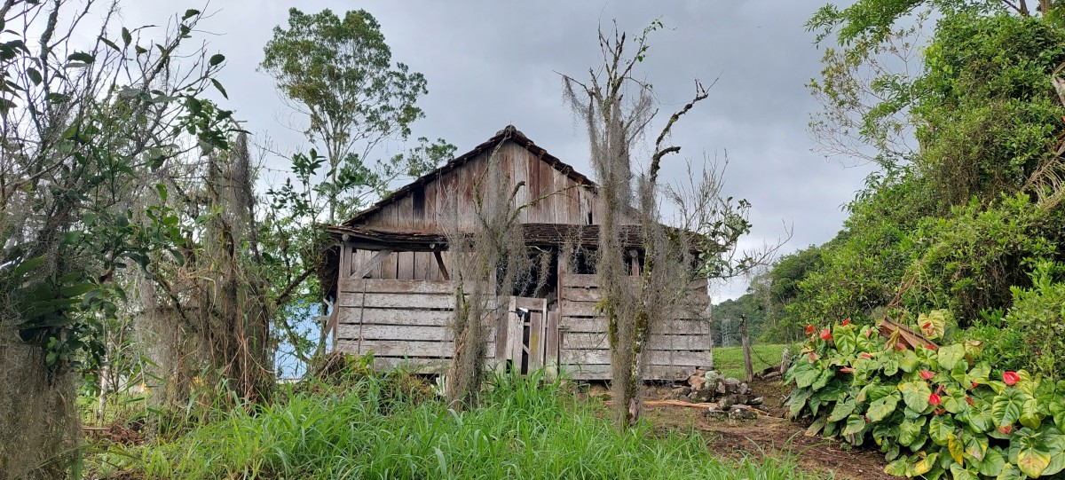 Apenas um barraco velho em Schroeder, SC : r/brasil