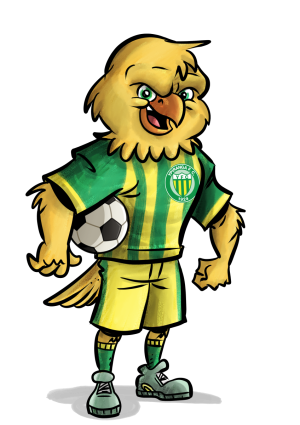 Brasileirão série C- Ypiranga Futebol Clube- Canário