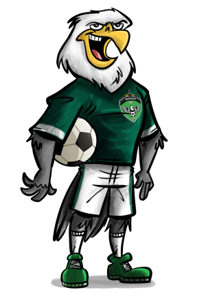 Brasileirão série C- Manaus Futebol Clube- gavião-real