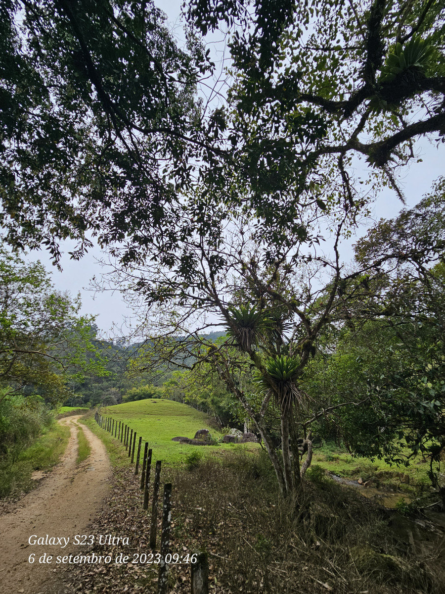 cachoeira