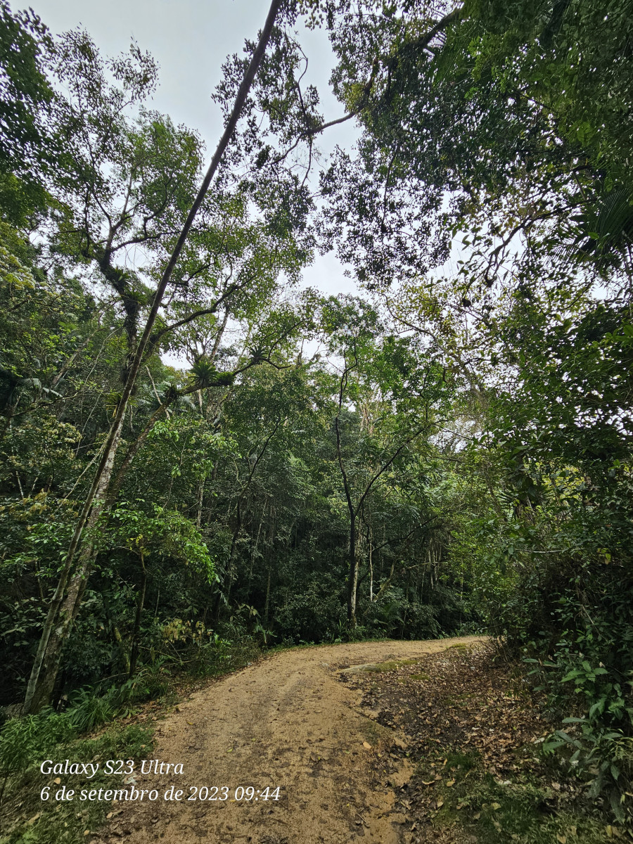 cachoeira