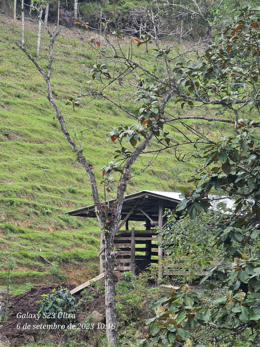 cachoeira