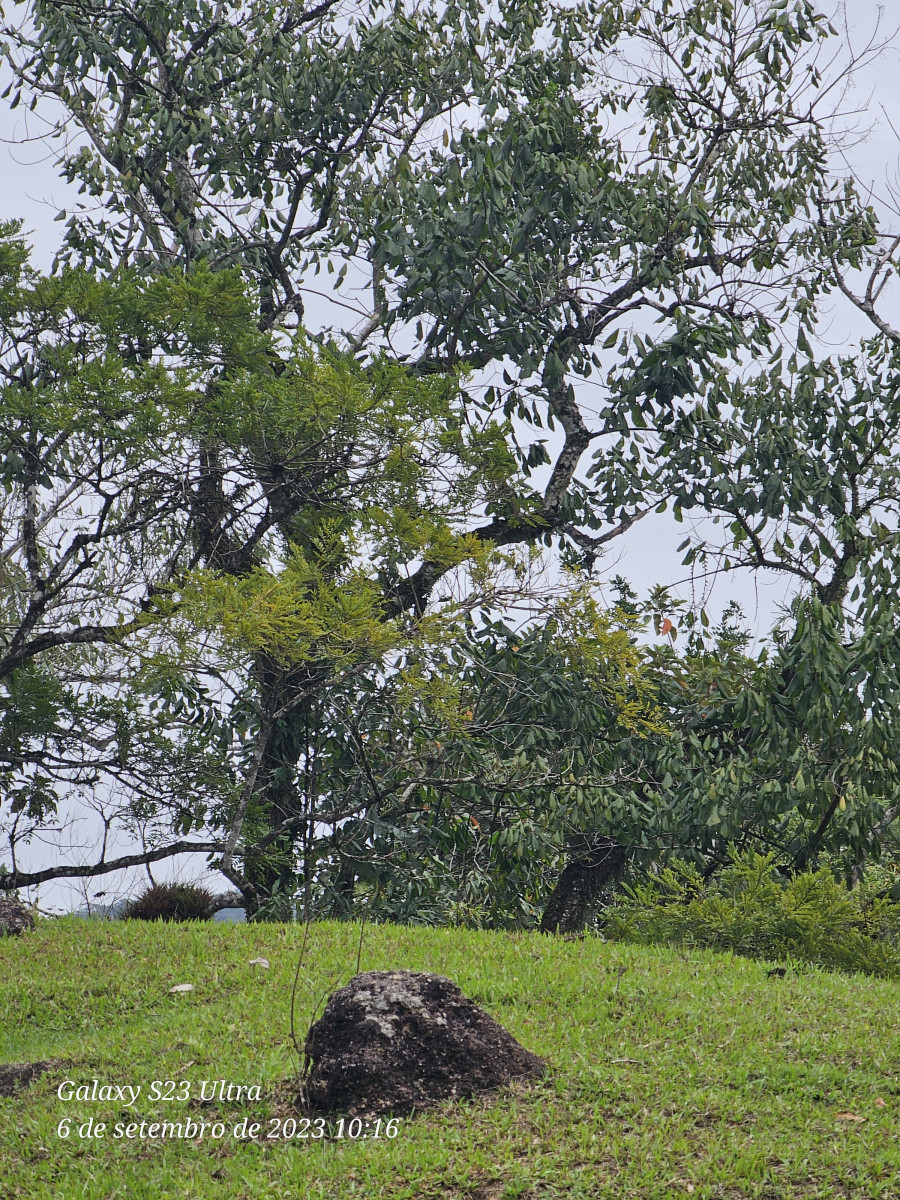 cachoeira