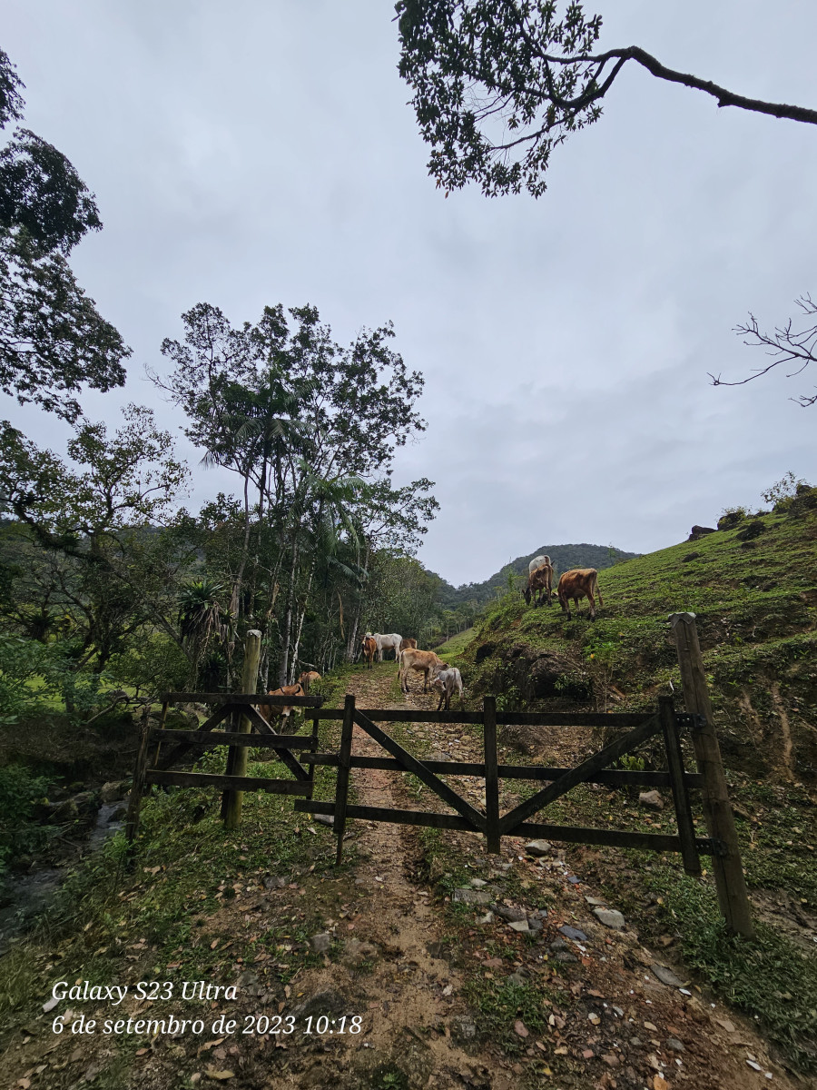 cachoeira