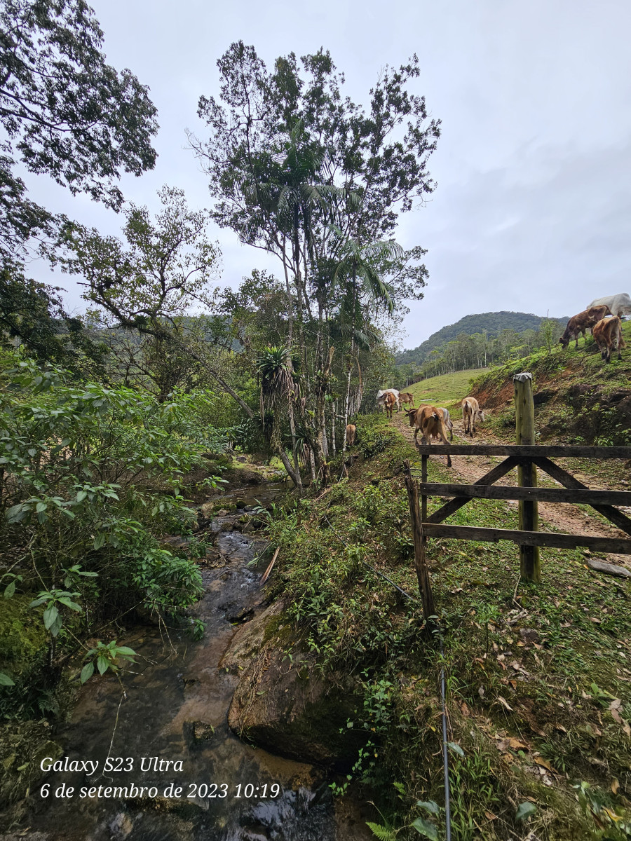 cachoeira