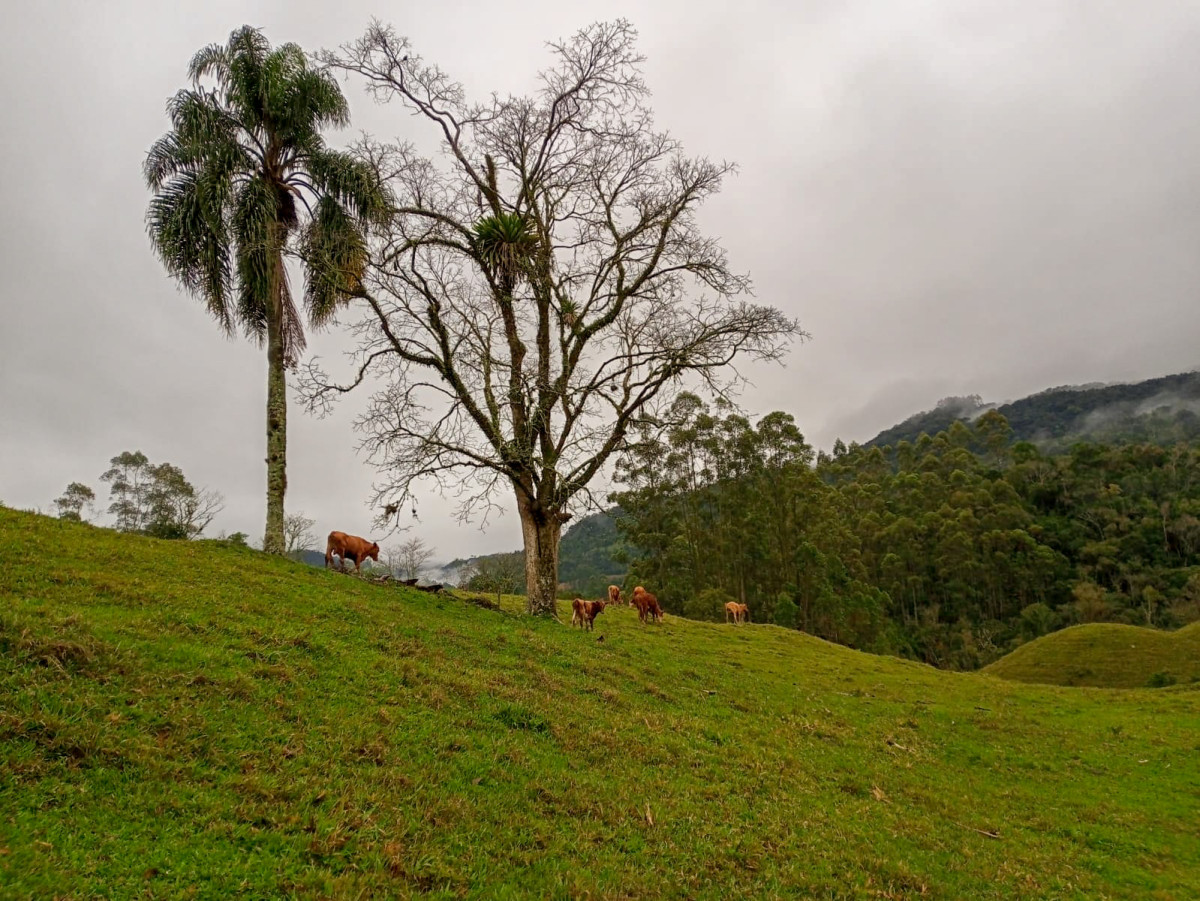 trovoadas