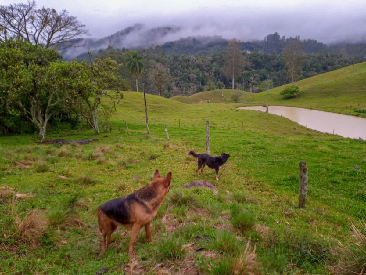 trovoadas