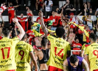 Brusque Almanaque Bruscão 2023 temporada estatísticas