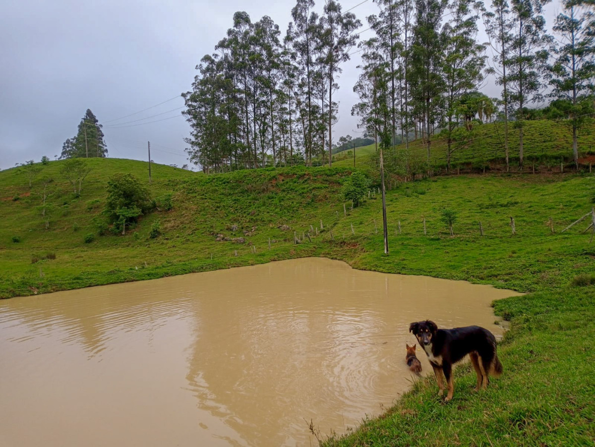 fenômeno