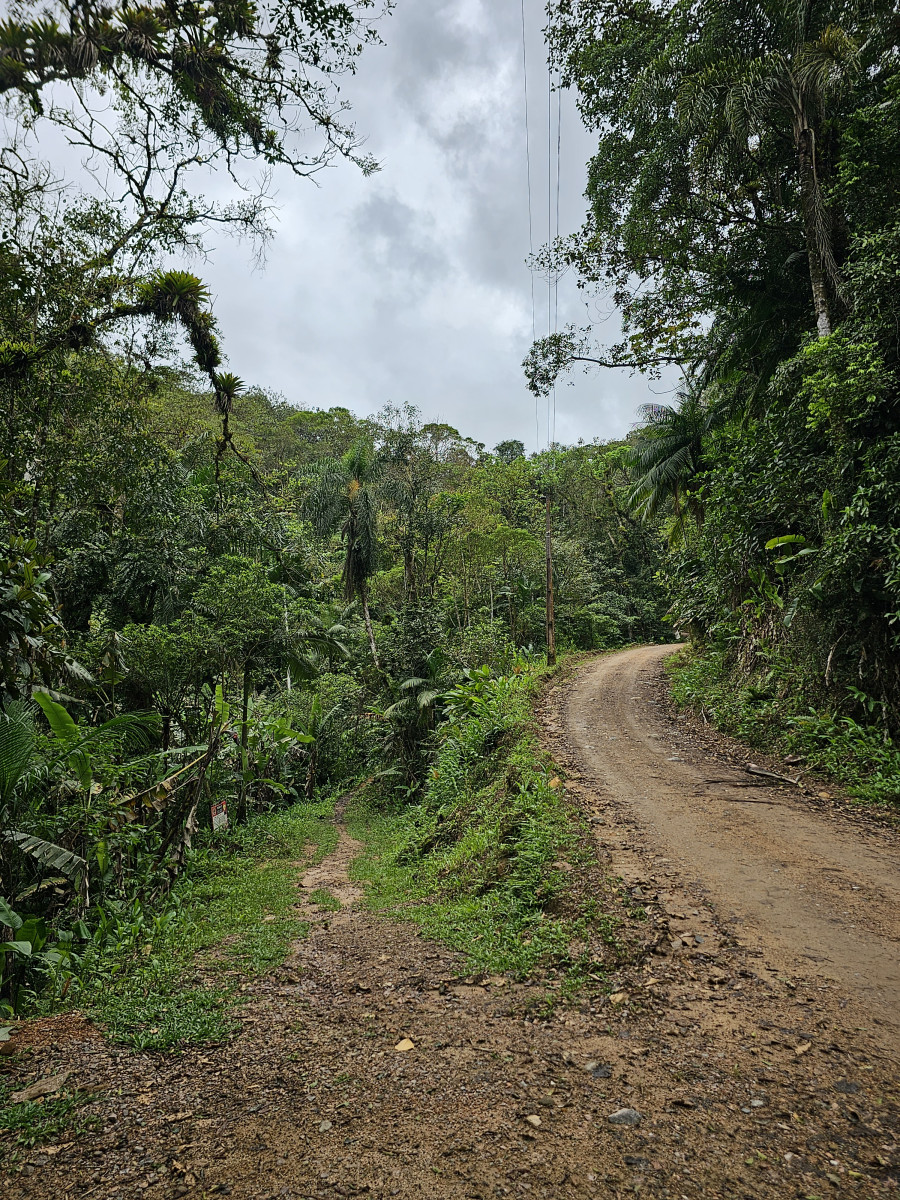 cachoeira