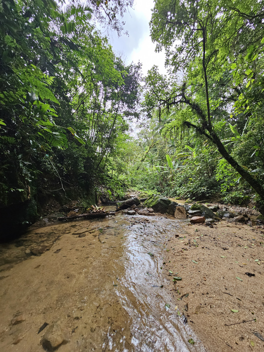 cachoeira