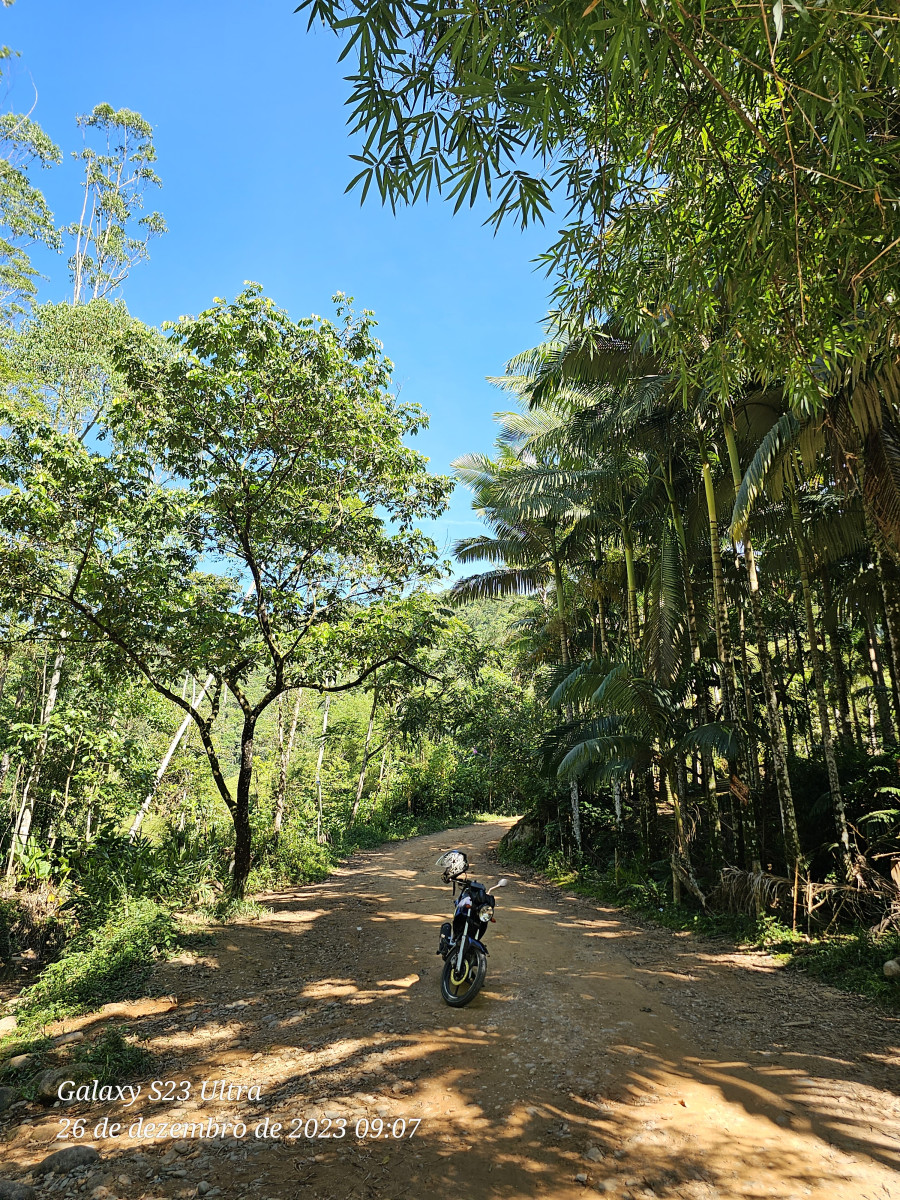 verão