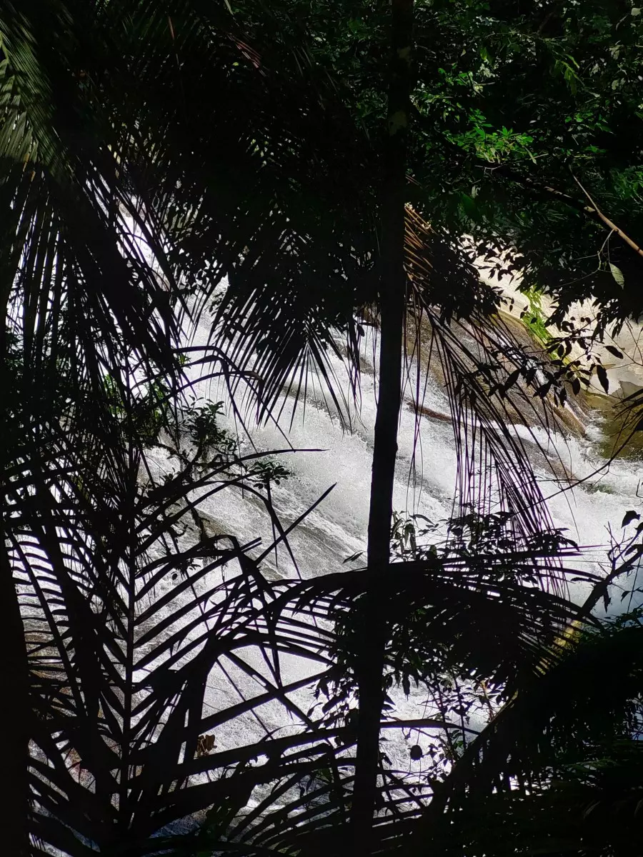 cachoeira