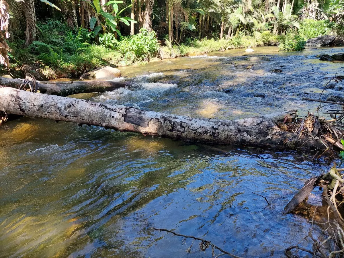 cachoeira