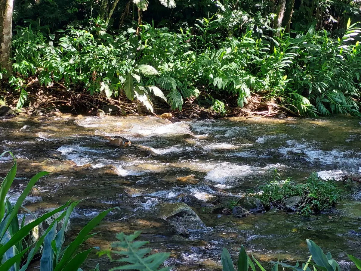 cachoeira