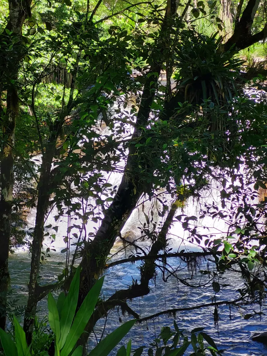 cachoeira