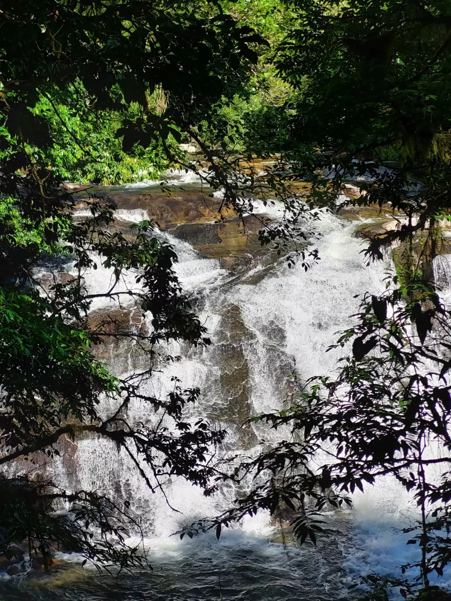 cachoeira