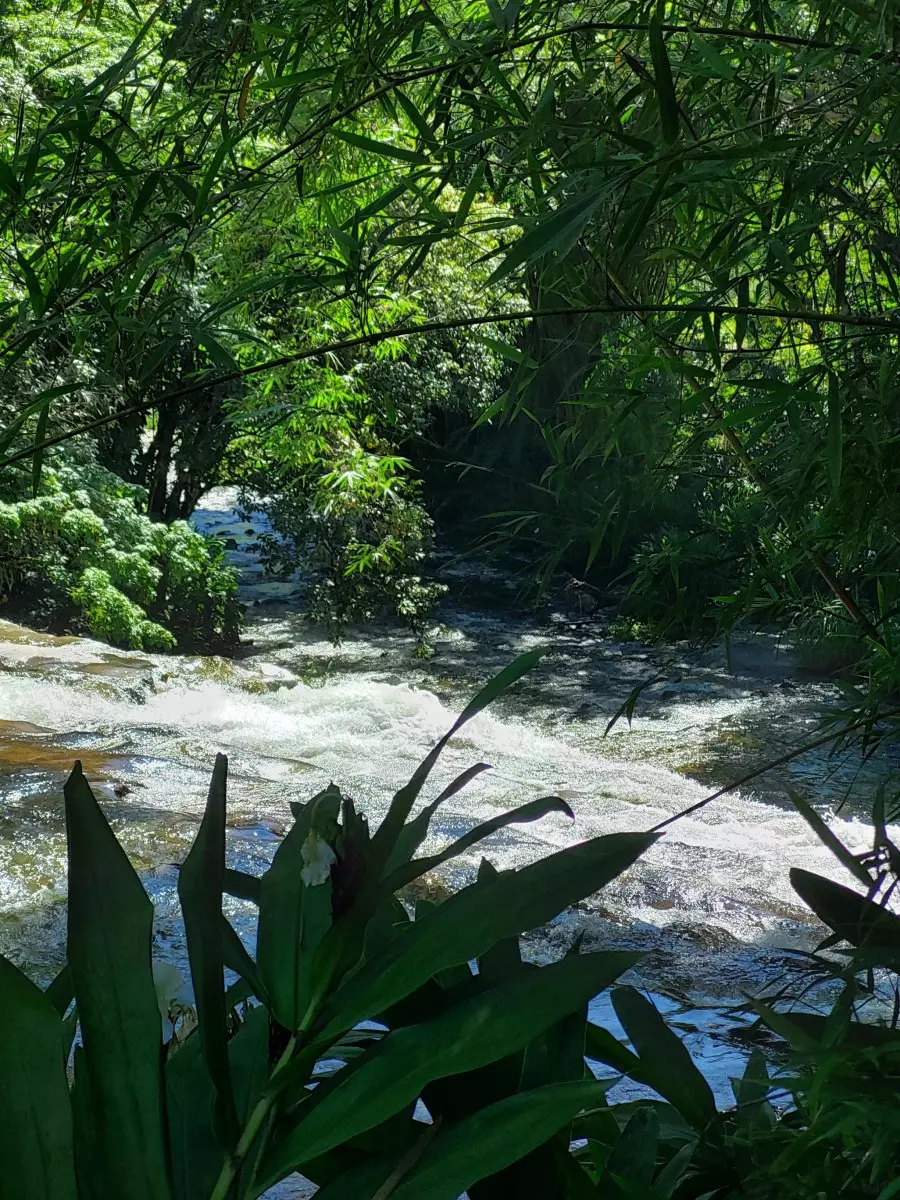 cachoeira