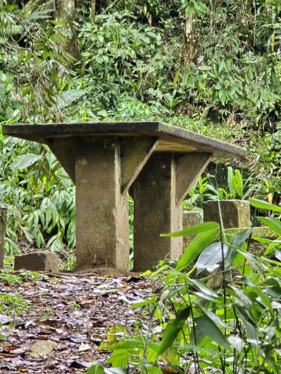 cachoeira