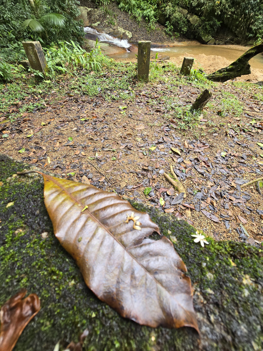 cachoeira