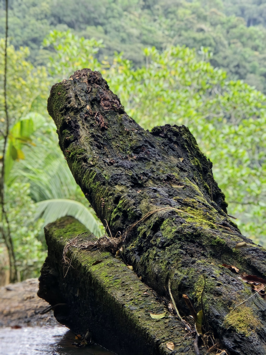 cachoeira