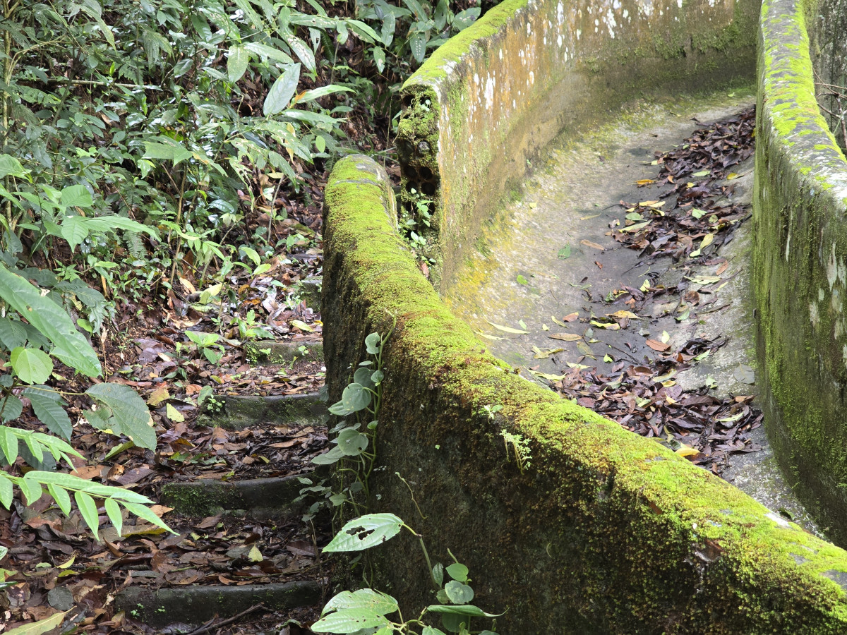 cachoeira