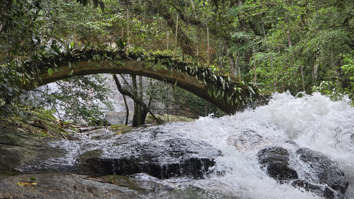 cachoeira