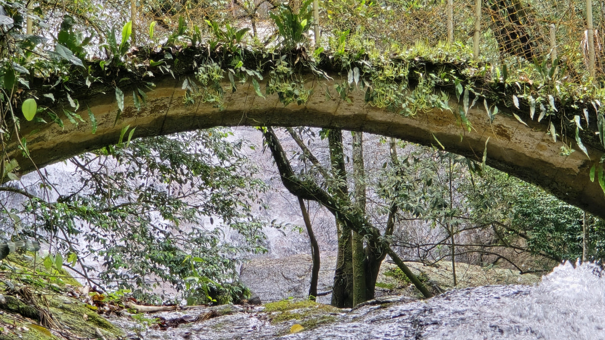 cachoeira