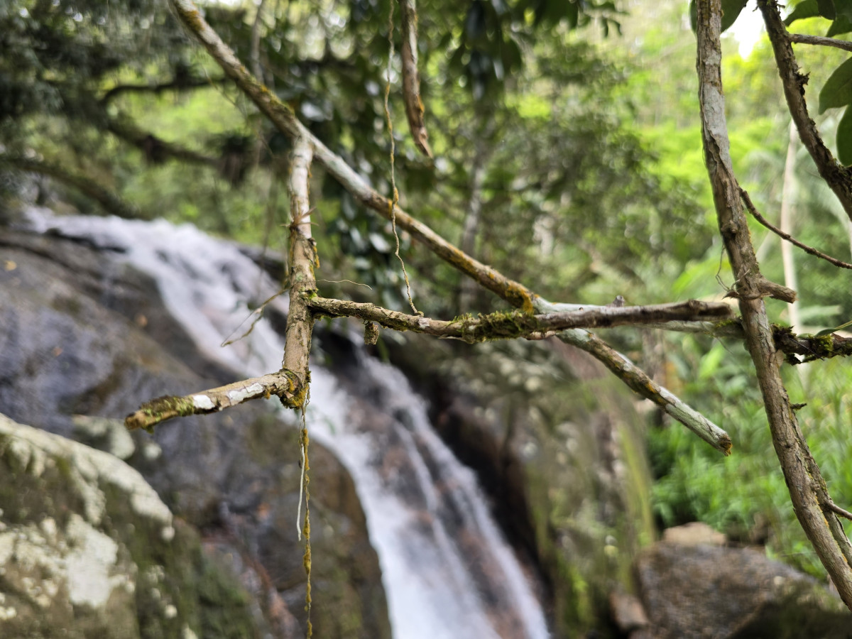 cachoeira