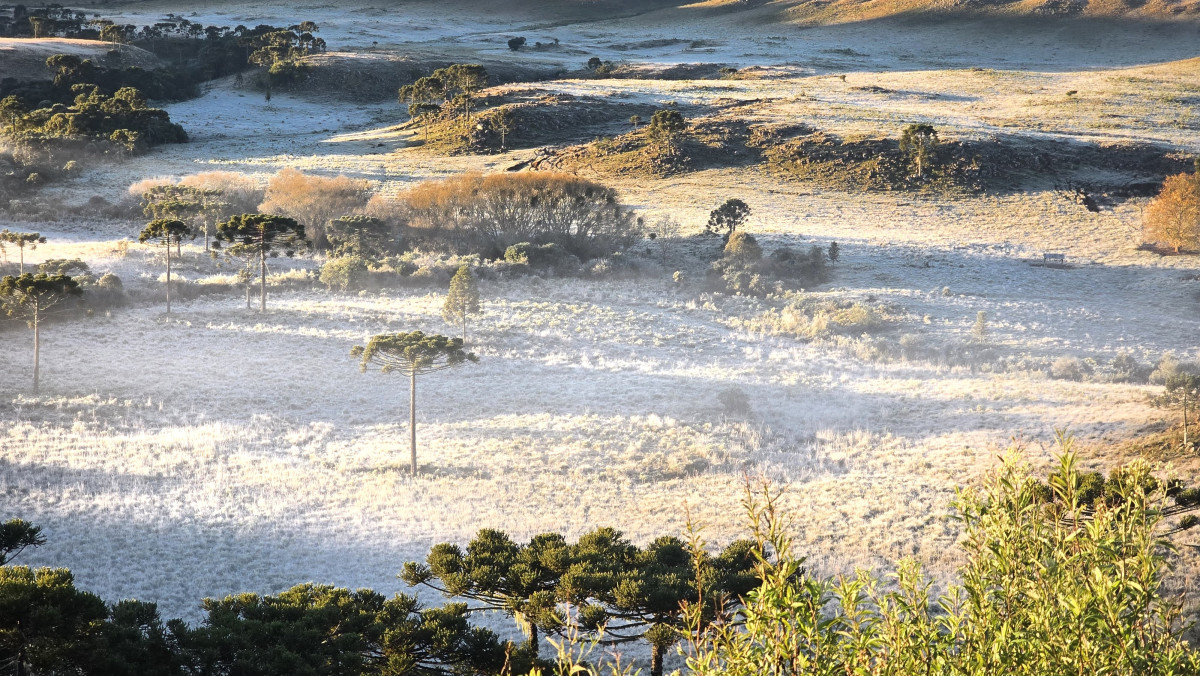 serra catarinense