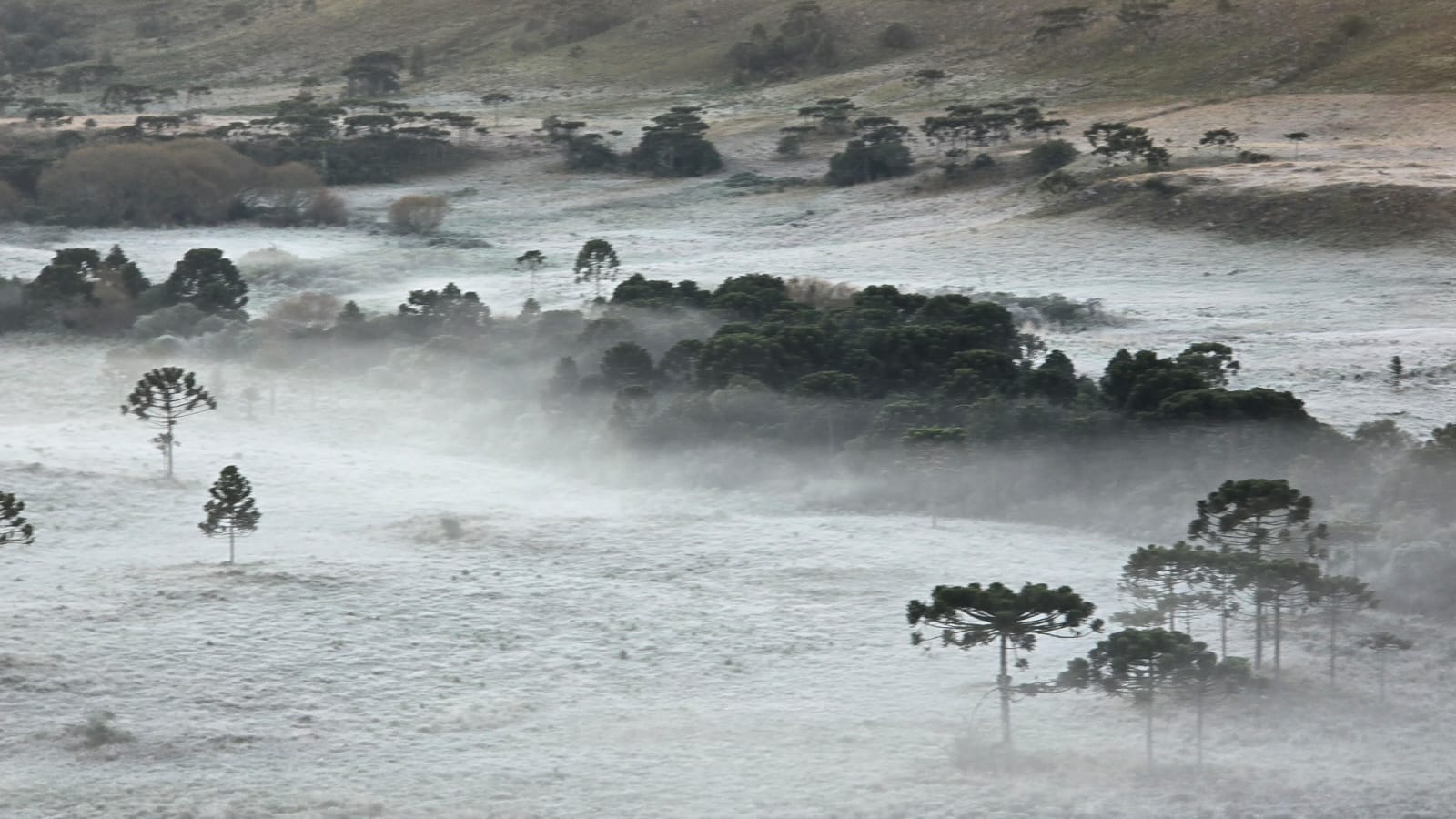 serra catarinense