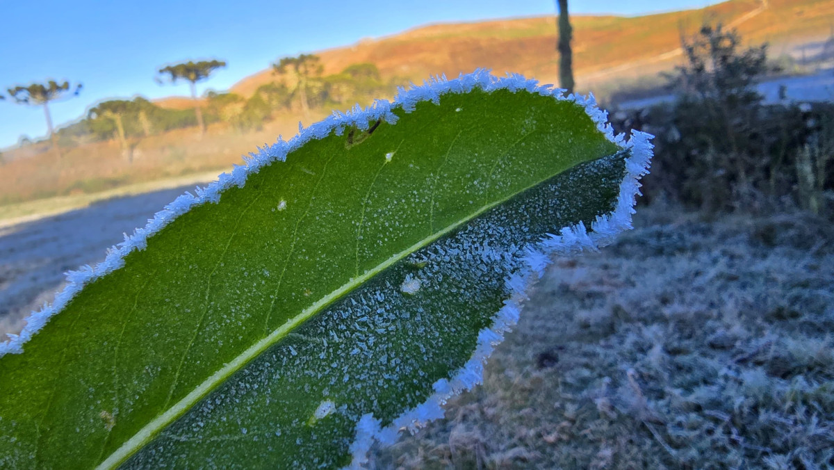 serra catarinense