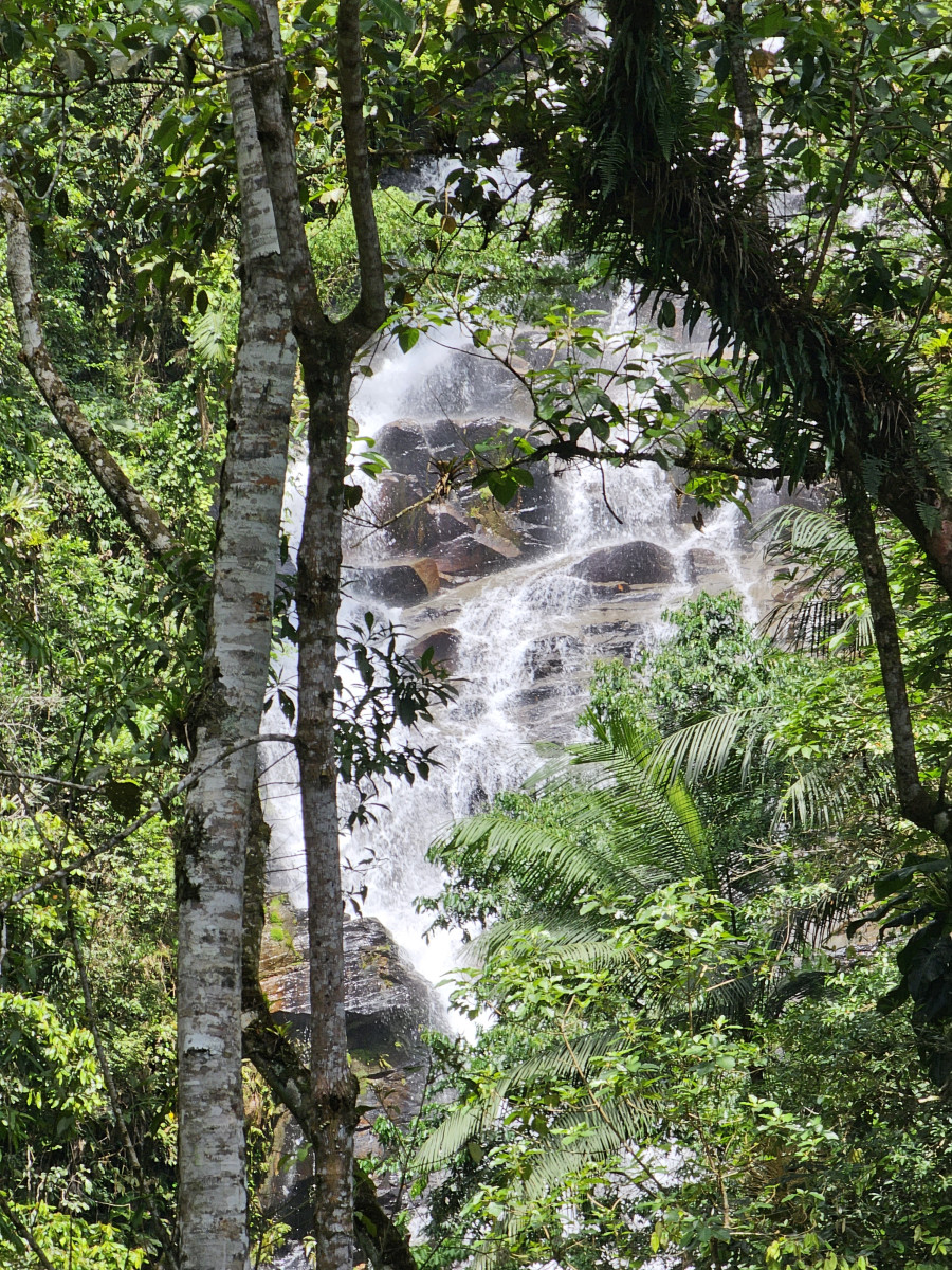 cachoeira