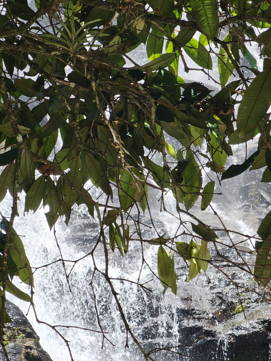 cachoeira