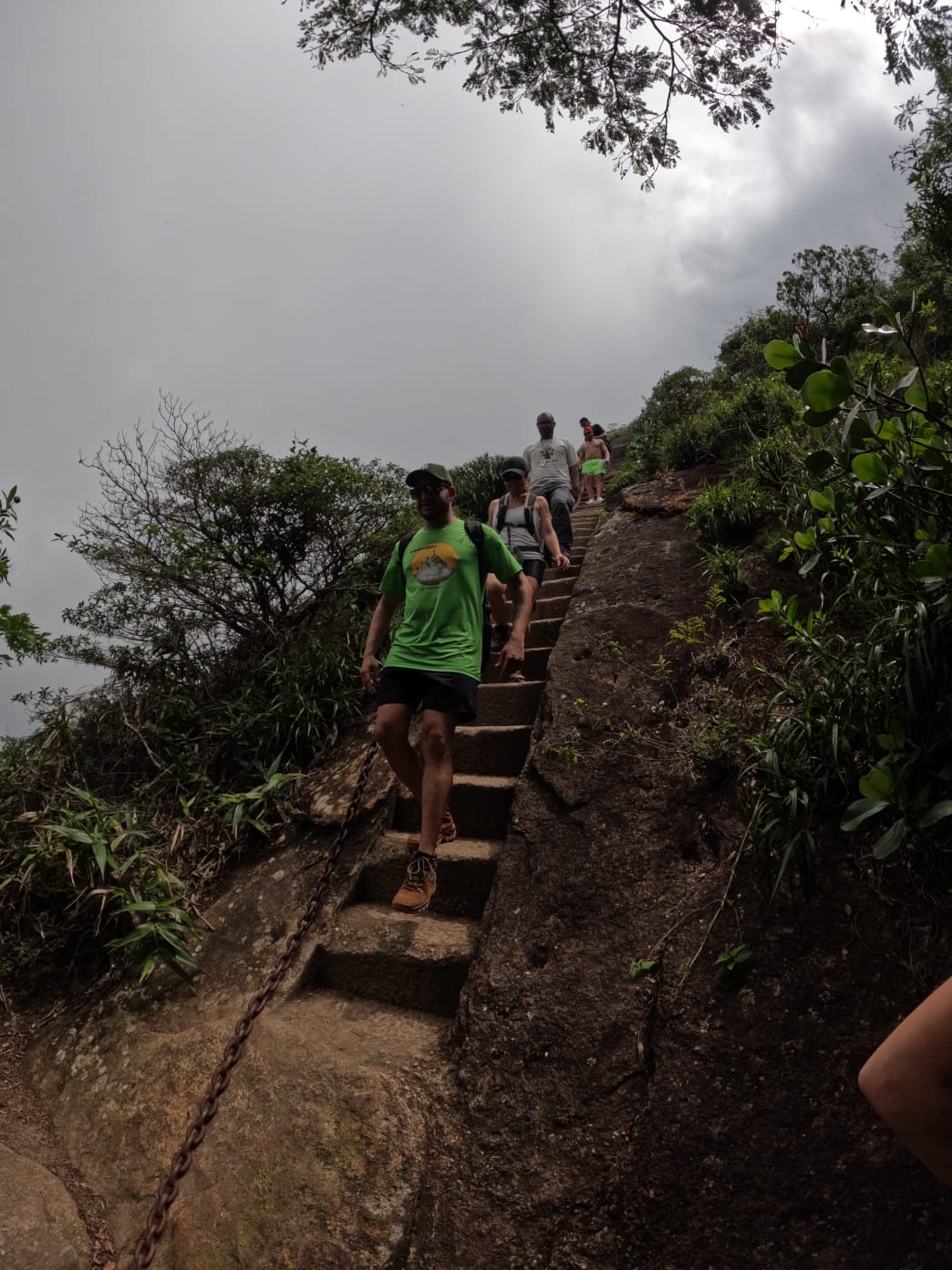 pico da tijuca