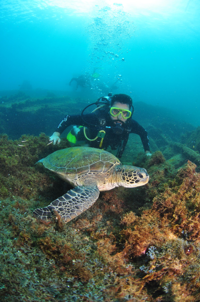 Fernando de Noronha